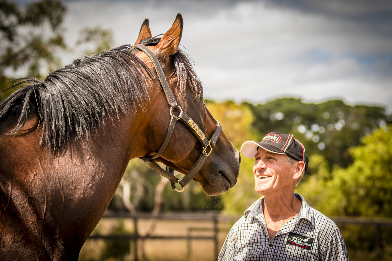 McGregor Equine – McGregor Equine Veterinary Services